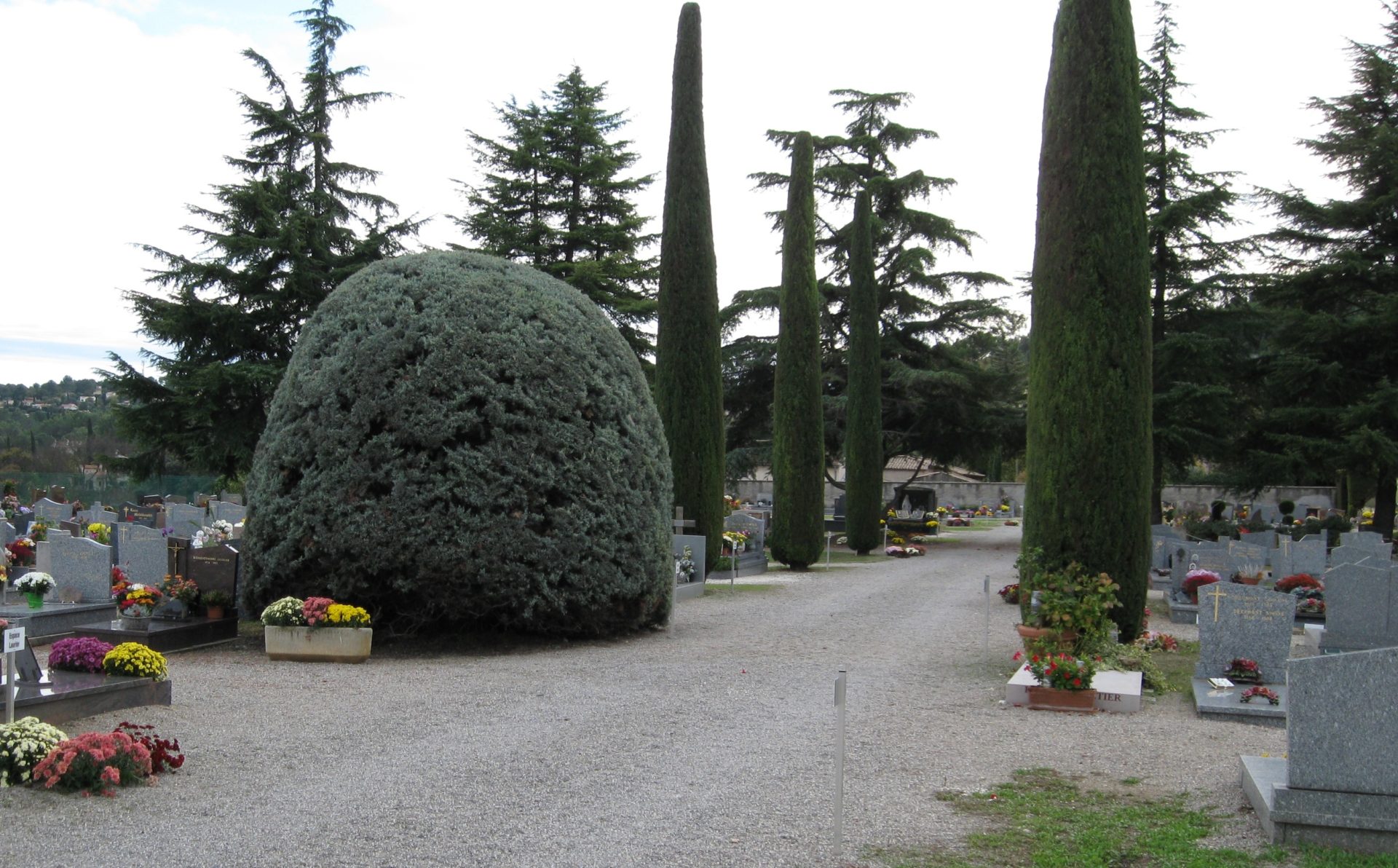 Allée centrale du Nouveau cimetière