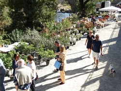 Stand d'arbustes - foire d'automne 2019 Stand d'arbustes - foire d'automne 2019