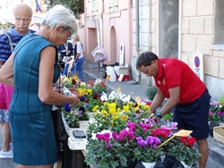 Stand de fleurs - foire d'automne 2019 Stand de fleurs - foire d'automne 2019
