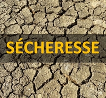 Trans-en-Provence en alerte sécheresse