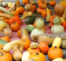 Franc succès pour la foire d’automne !