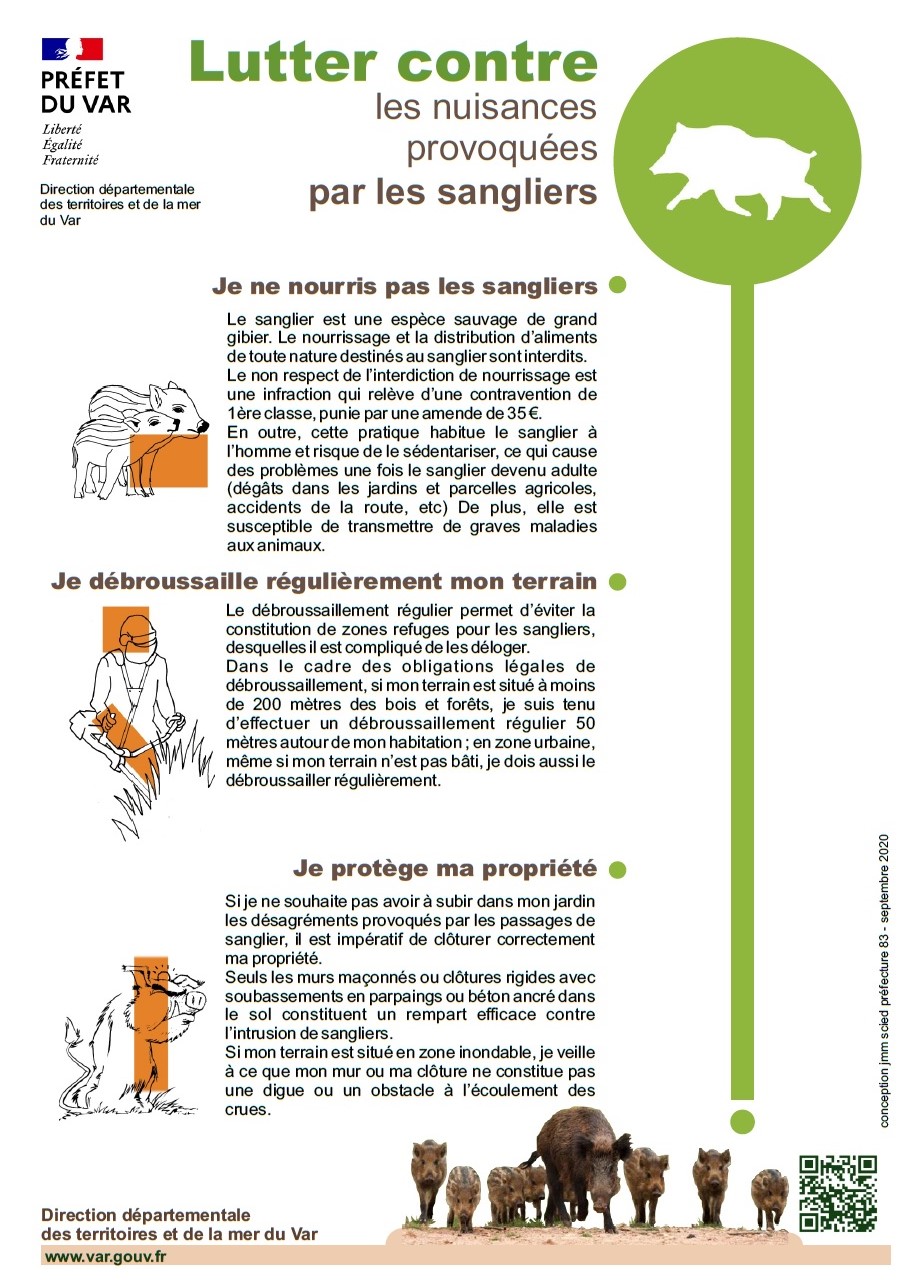 Lutter contre les nuisances provoquées par les sangliers. Je ne nourris pas les sangliers. Le sanglier est une espèce sauvage de grand gibier. Le nourrissage et la distribution d'aliments de toute nature destinés au sanglier sont interdits. Le non respect de l'interdiction de nourrissage est une infraction qui relève d'une contravention de 1ère classe, punie par une amende de 35€. En outre, cette pratique habitue le sanglier à l'homme et risque de le sédentariser, ce qui cause des problèmes une fois le sanglier devenu adulte (dégâts dans les jardins et parcelles agricoles, accidents de la route, etc). De plus, elle est susceptible de transmettre de graves maladies aux animaux. Je débroussaille régulièrement mon terrain. Le débroussaillement régulier permet d'éviter la constitution de zones refuges pour les sangliers, desquelles il est compliqué de les déloger. Dans le cadre des obligations légales de débroussaillement, si mon terrain est situé à moins de 200 mètres des bois et forêts, je suis tenu d'effectuer un débroussaillement régulier 50 mètres autour de mon habitation ; en zone urbaine, même si mon terrain n'est pas bâti, je dois aussi le débroussailler régulièrement. Je protège ma propriété. Si je ne souhaite pas avoir à subir dans mon jardin les désagréments provoqués par les passages de sangliers, il est impératif de clôturer correctement ma propriété. Seuls les murs maçonnés ou clôtures rigides avec soubassements en parpaings ou béton ancré dans le sol constituent un rempart efficace contre l'intrusion de sangliers. Si mon terrain est situé en zone inondable, je veille à ce que mon mur ou ma clôture ne constitue pas une digue ou un obstacle à l'écoulement des crues.