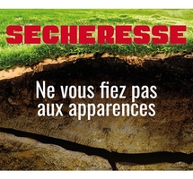 Sécheresse, ne vous fiez pas aux apparences !