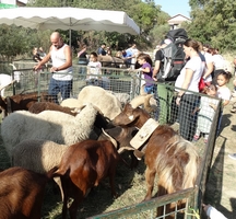 Énorme succès de la Foire d’automne