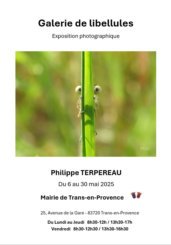 Exposition galerie de libellules de M. Terpereau. Du 6 au 30 mai, à l'accueil de la Mairie. Entrée libre.