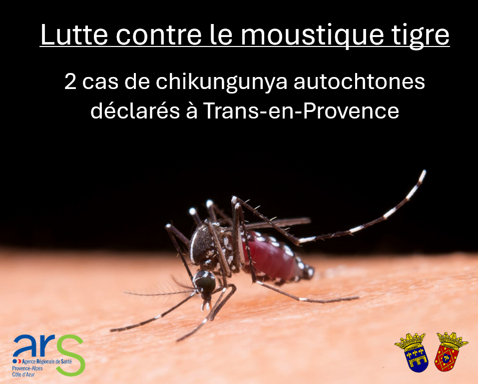 Vue lointaine des stands de la foire d'automne