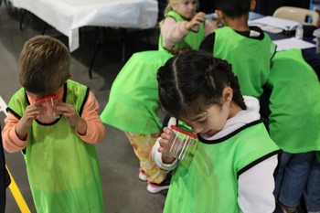 les enfants regardent les insectes à la loupe