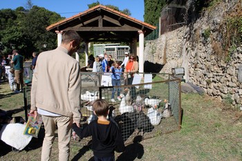 La petite ferme