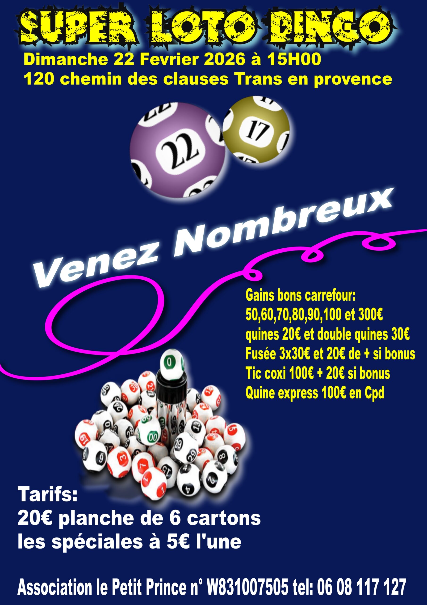 Loto de l'association Les petits princes. Dimanche 22 février à 15h, salle polyvalente. Renseignements : 06 08 117 127.